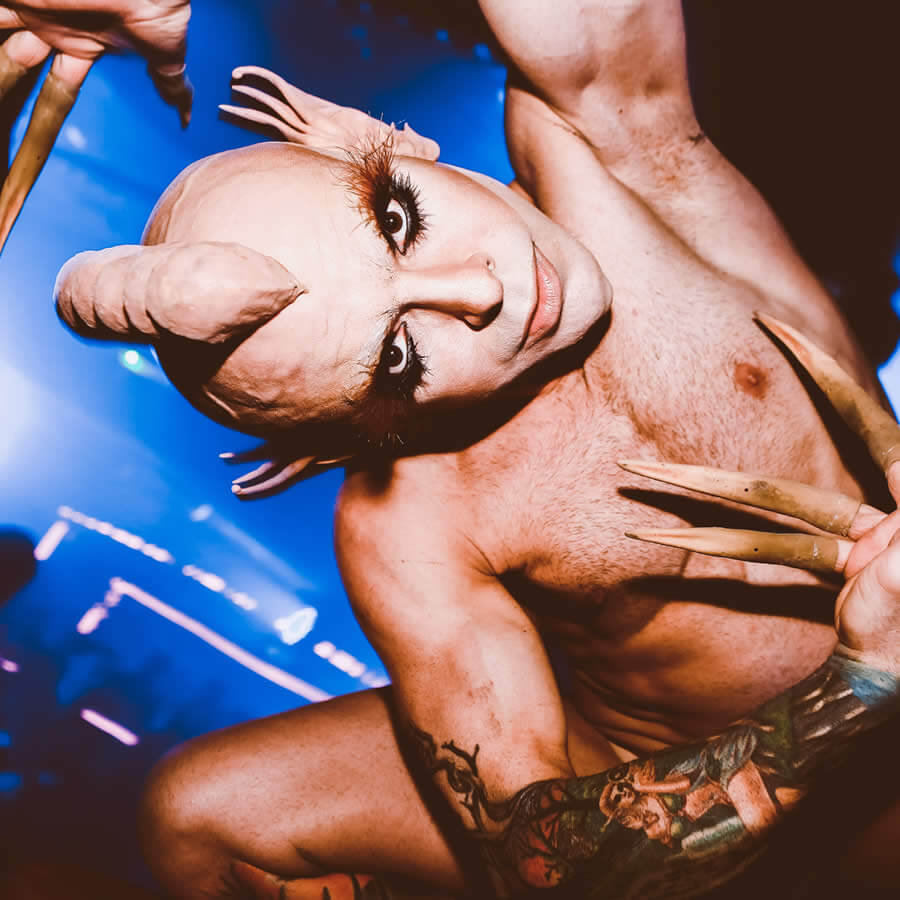 website design and development